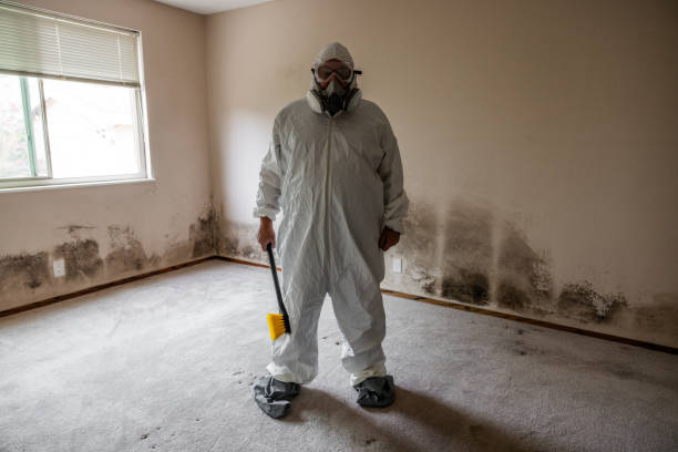 Best Local Mold Removal Service  in Dunes City, OR
